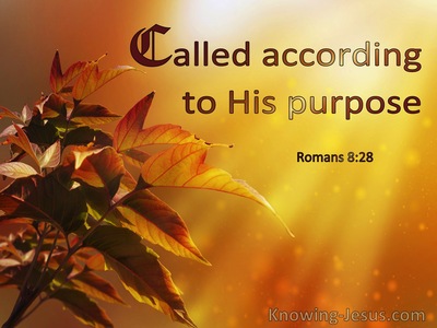 Romans 8:28 Called According To His Purpose (windows)06:03